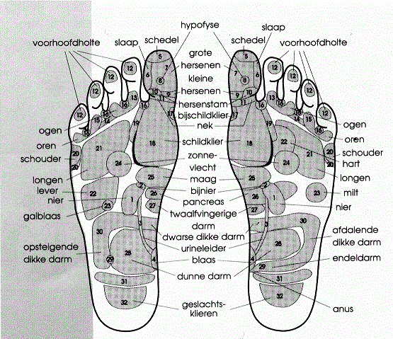 Voetzoolreflex massage